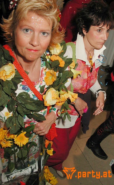 Bild 521