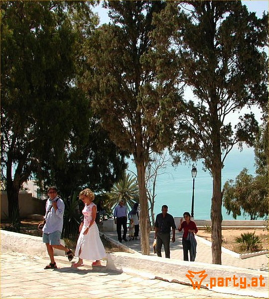 Bild 509