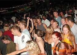 Bild 50
