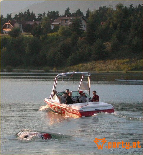 Bild 41