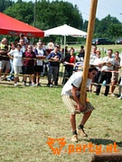 Bild 121
