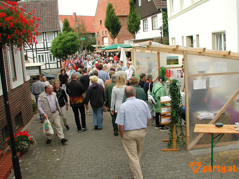 Bild 36