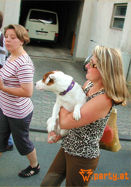 Bild 66