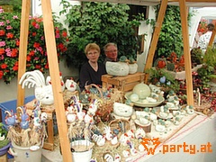 Bild 65