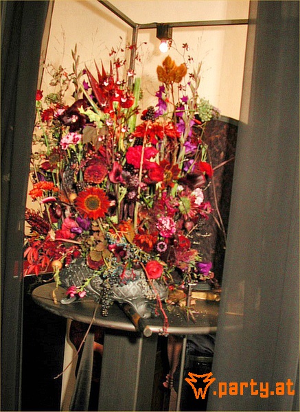 Bild 22