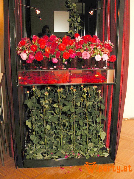 Bild 23