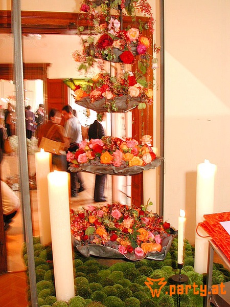 Bild 24