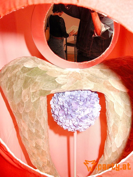 Bild 28