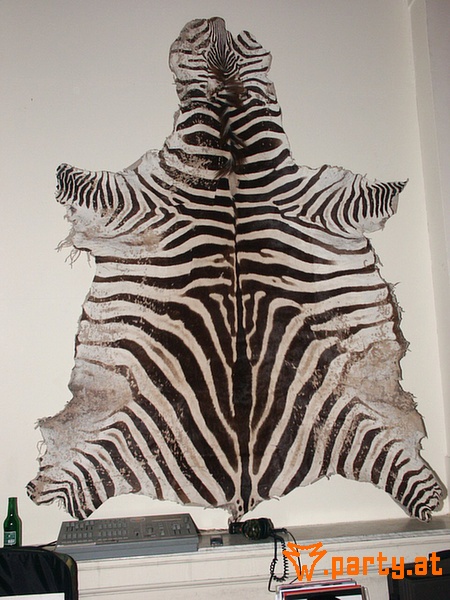 Bild 43