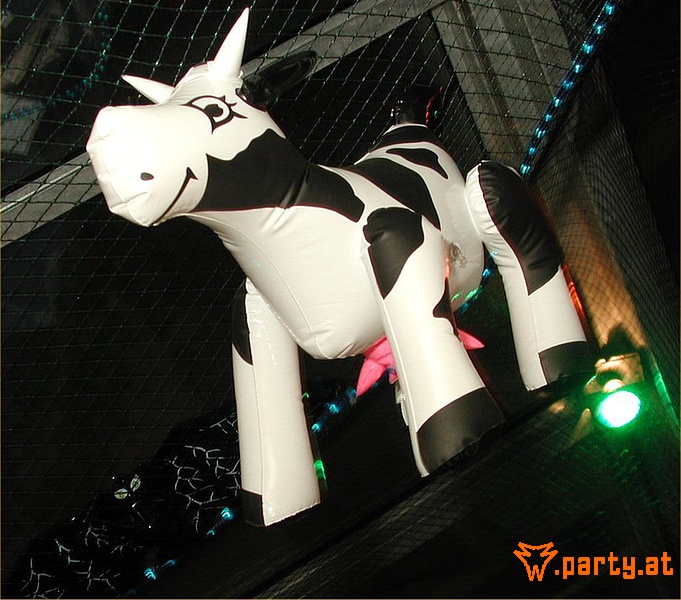 Bild 222