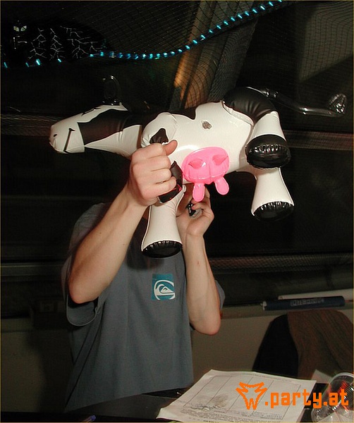 Bild 223