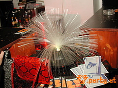 Bild 24