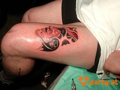 Bild 282