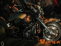 Bild 304