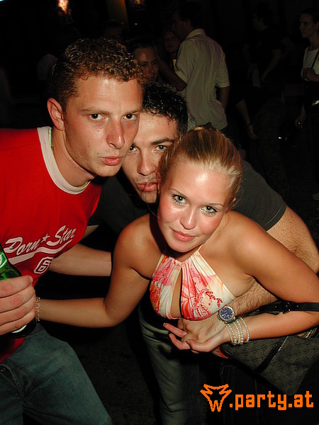 Bild 334