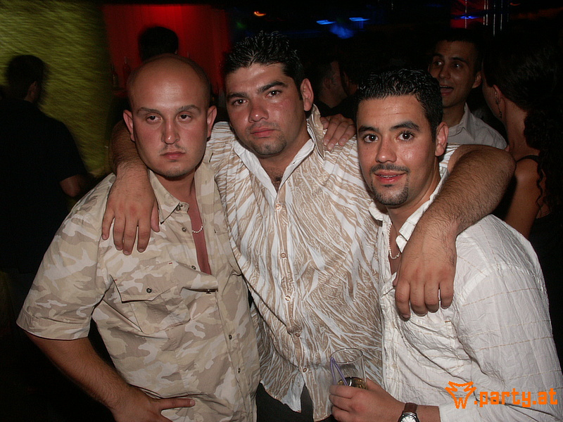 Bild 531