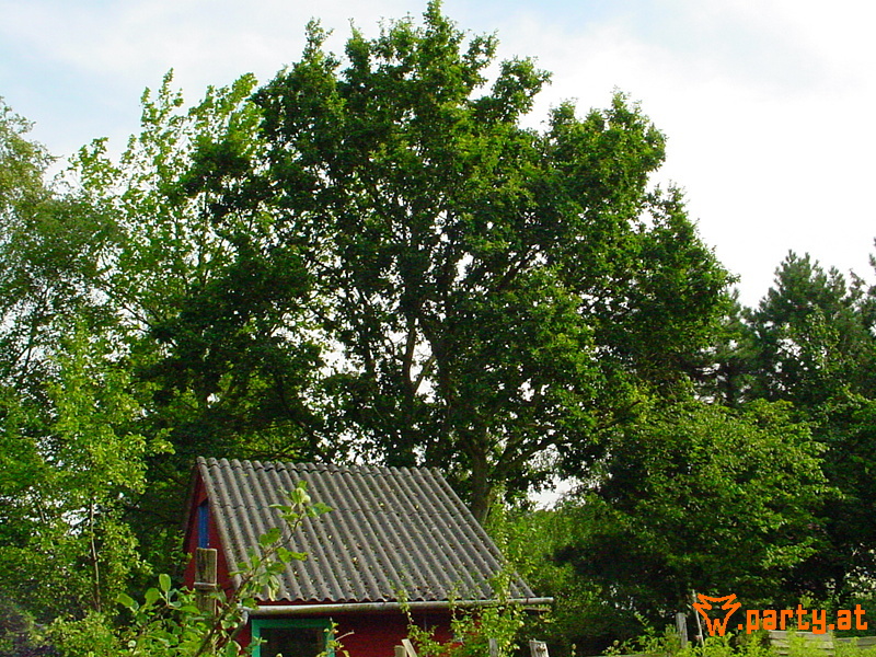 Bild 18