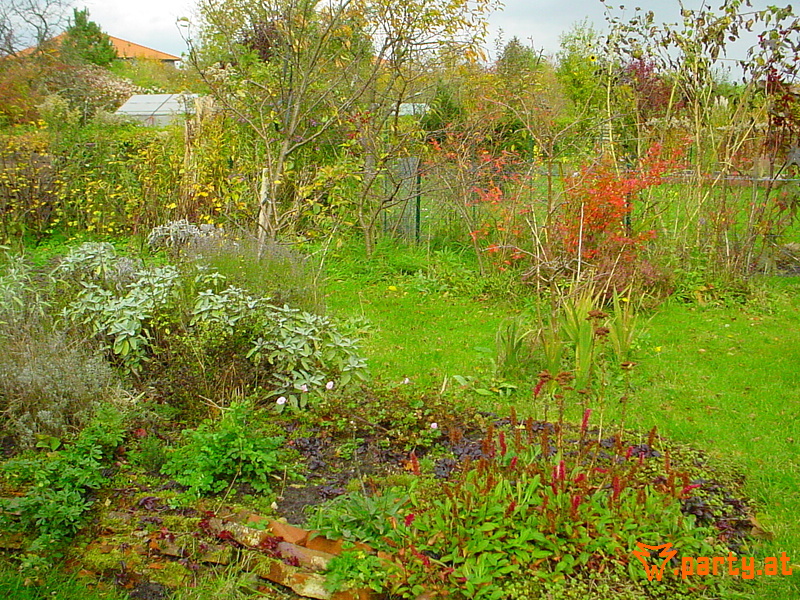Bild 33