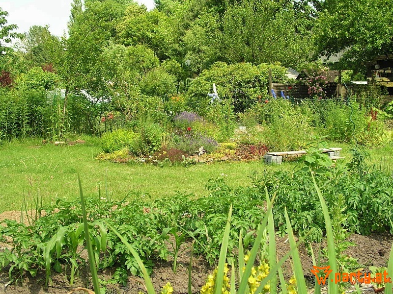 Bild 49