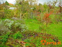 Bild 33