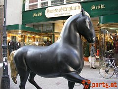 Bild 23