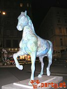 Bild 37