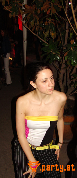 Bild 100