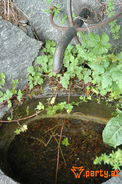 Bild 95