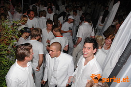 Bild 147