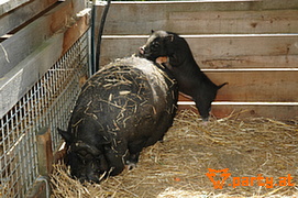 Bild 14