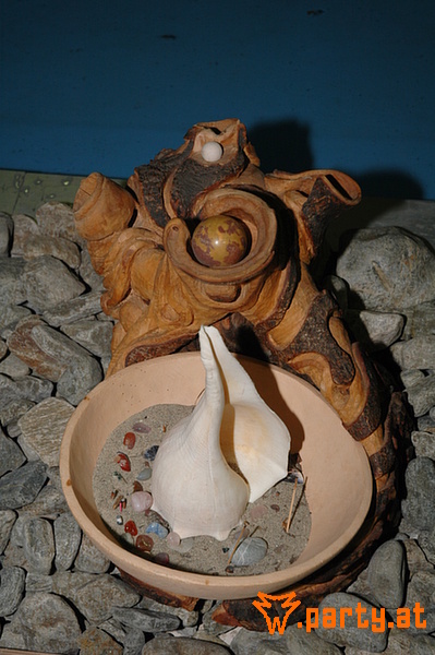 Bild 21