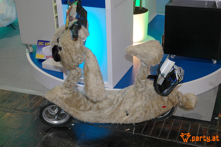 Bild 48