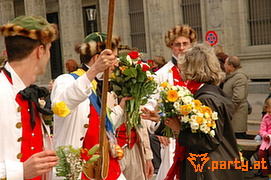 Bild 42