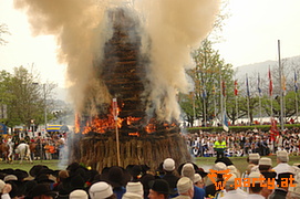 Bild 126