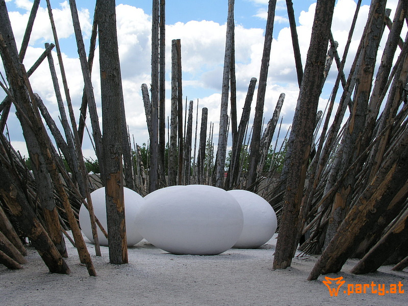 Bild 185