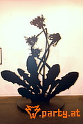 Bild 28