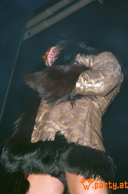 Bild 15