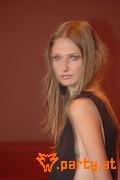 Bild 238