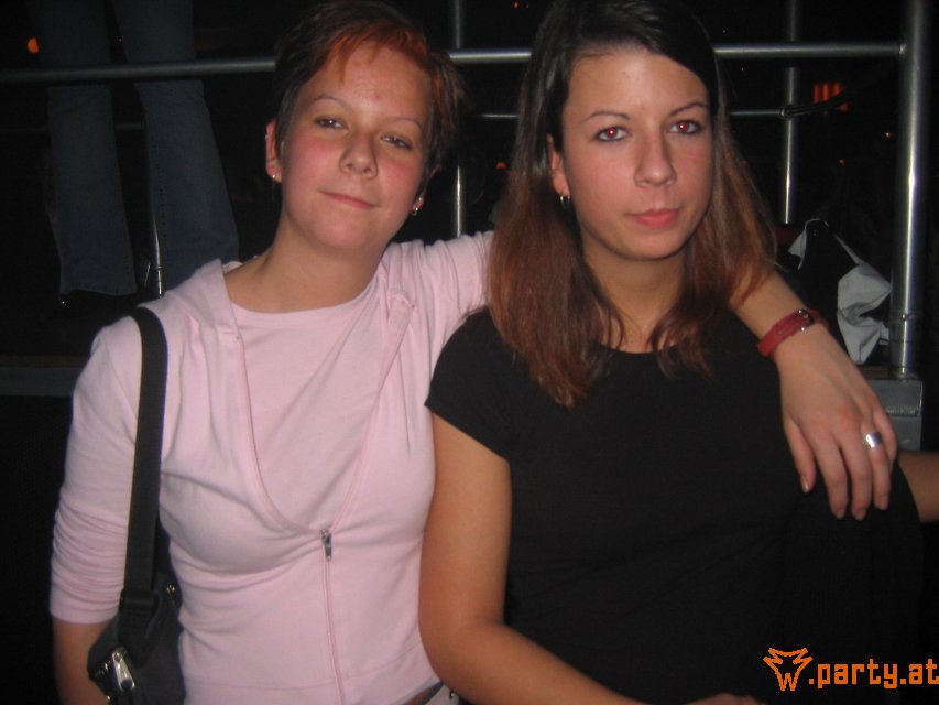 Bild 146