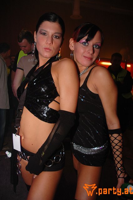 Bild 245