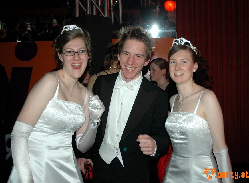 Bild 245