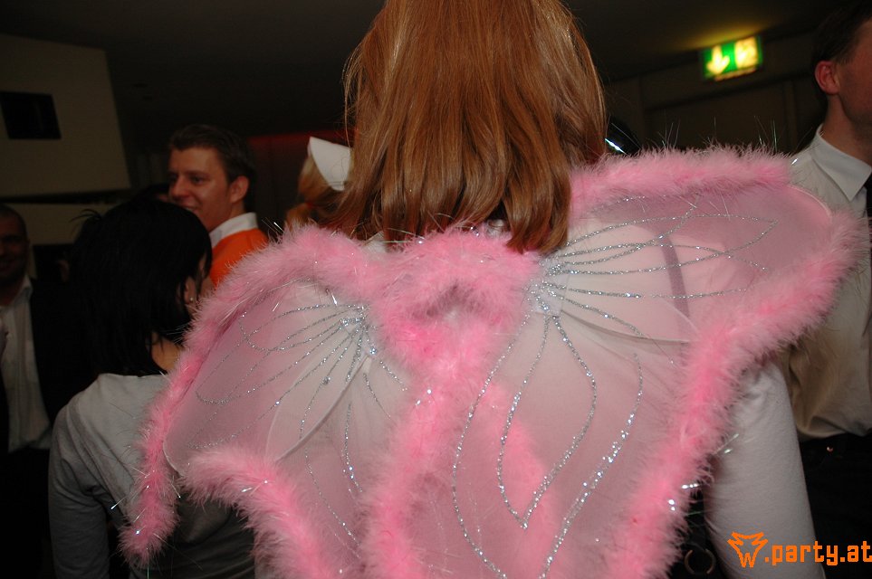 Bild 33