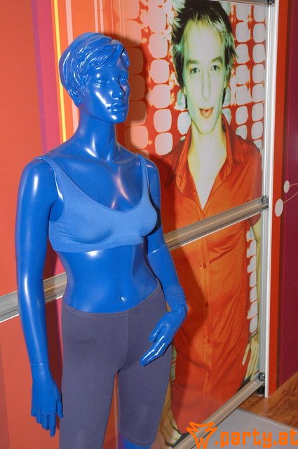 Bild 176