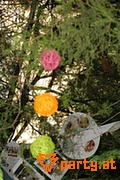 Bild 32