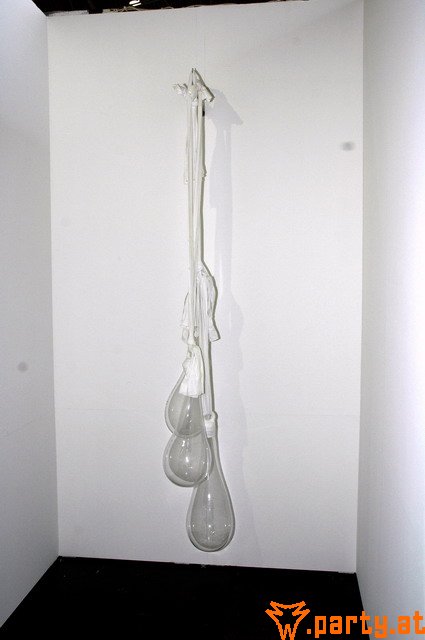 Bild 43