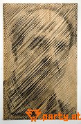Bild 36