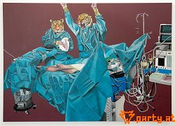Bild 37