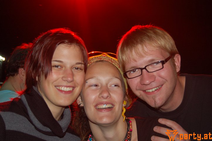 Bild 261