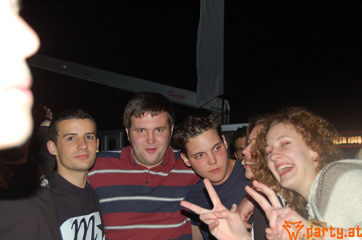 Bild 262