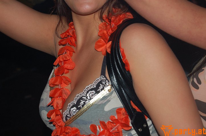 Bild 286
